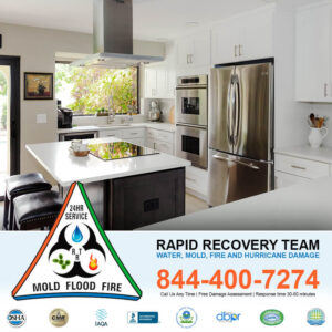 Kitchen Renovation Services