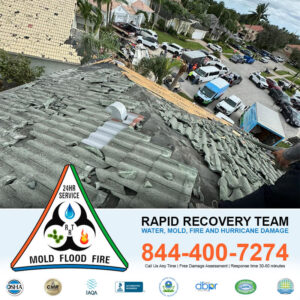 Commercial Roof Leak Repair